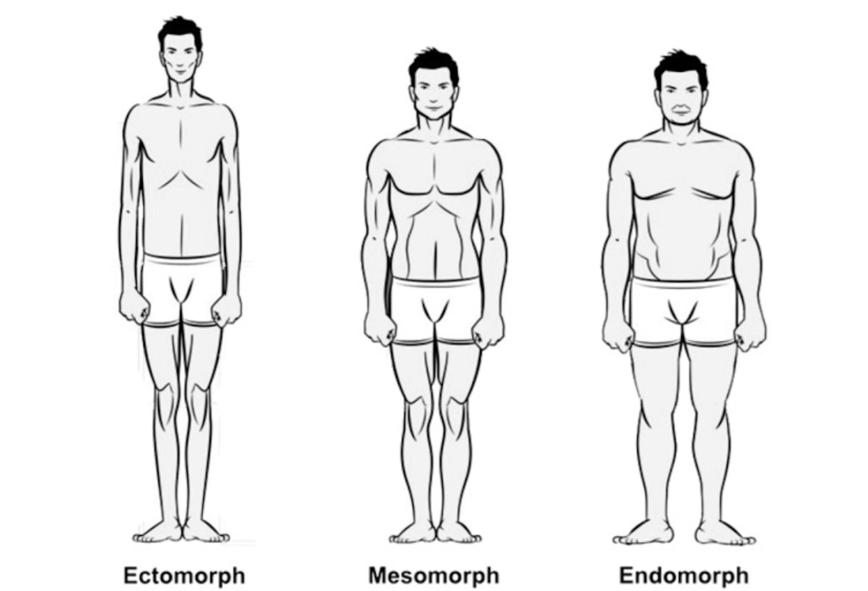 Vücut Tipleri (Somatotipler) ve Vücut Şekilleri
