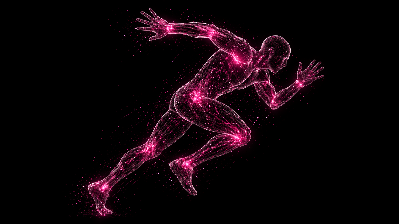 Fitness Performans Analiz